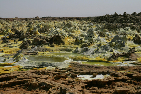From Addis Ababa: 8-Day Danakil, Awash & Harar Safari