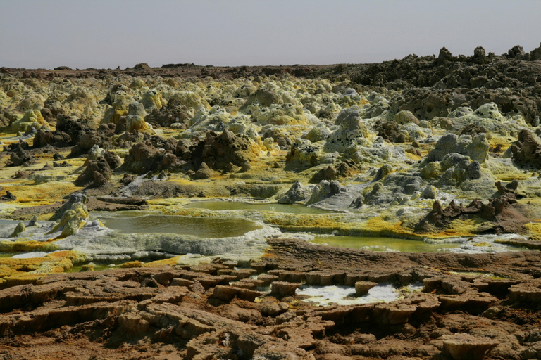 From Addis Ababa: 8-Day Danakil, Awash & Harar Safari