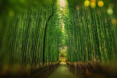 Da Osaka: Escursione di un giorno a Kyoto con il Santuario di Fushimi Inari