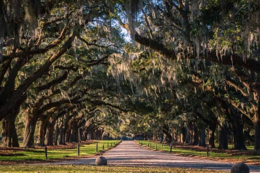 Charleston: Boone Hall Plantation & Gardens Eintrittskarte. Foto: GetYourGuide