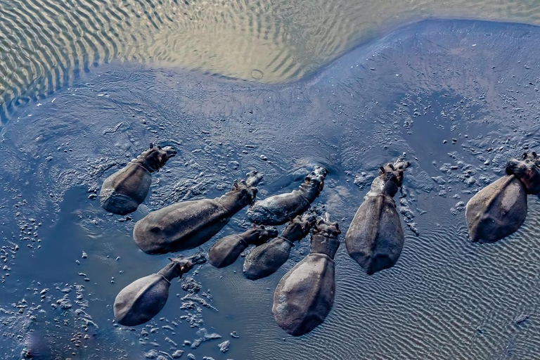 From Maputo: 2-Day Safari & Ocean Hideaway at Maputo Reserve