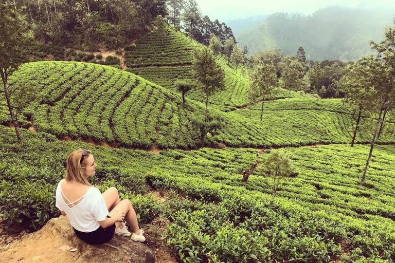 Lipton Seat Legacy: Tuk-Tuk & Train Tea Trails Tour