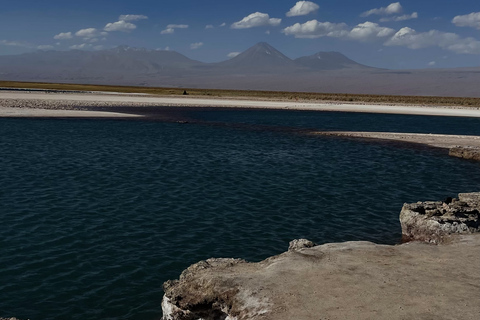 Passeio pelas lagoas Cejar e Tebenquiche com Ojos del Salar Atacama