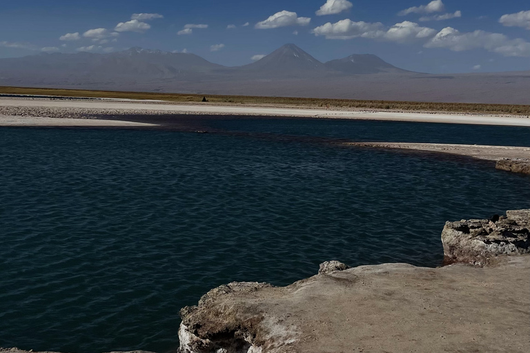 Passeio pelas lagoas Cejar e Tebenquiche com Ojos del Salar Atacama