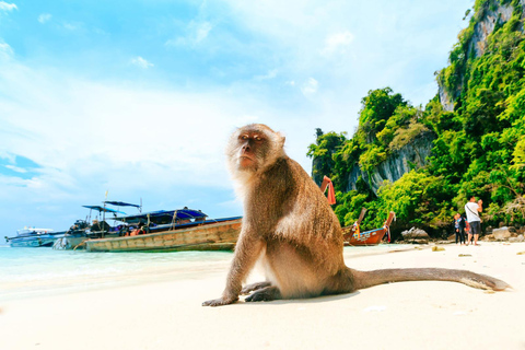 Phuket: Phi Phi Bamboo Islands Full Day Premium
