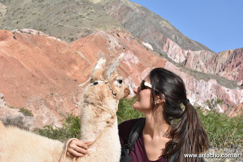 Purmamarca: Hiking with Llamas through multicolored mountains