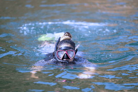 Mascate: excursão de 3 horas para observação de golfinhos e mergulho com snorkel