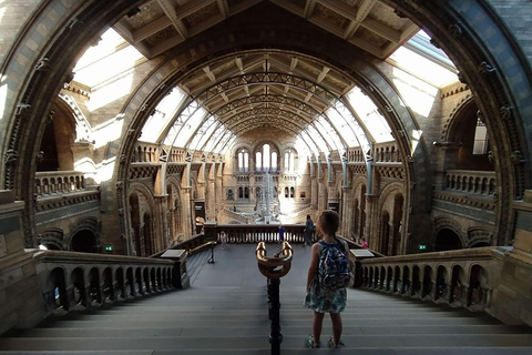 Natural Museum: Diplodocus, Volcanoes, Whale, and Gems