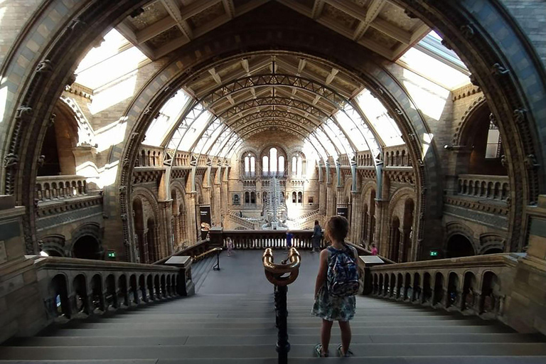 Naturhistoriska museet: Diplodocus, vulkaner, valar och ädelstenar