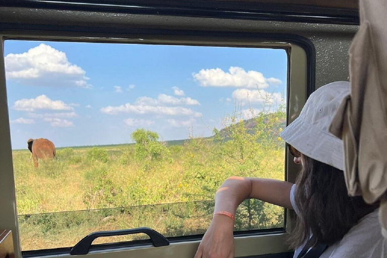 Mombasa: Tsavo East Early-Access Safari & Game Drives