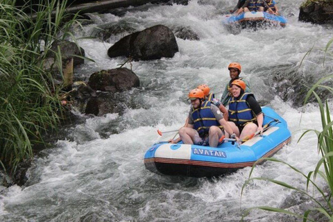 Bali: Telaga Waja White Water Rafting And ATV Quad Adventure White Water Rafting Adventure Meet At Meeting Point