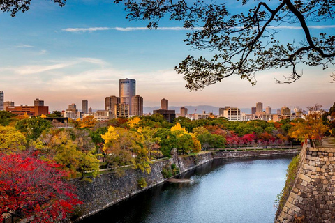 Osaka: Osaka Castle & Samurai History Walking Tour Small Group Tour with Entrance fee