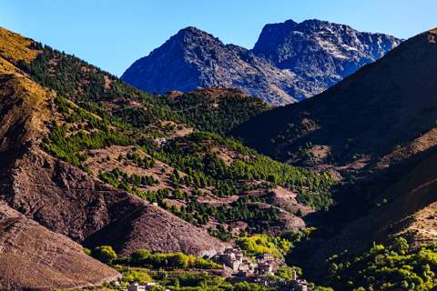 Marrakech: Ourika Valley,Waterfalls, Atlas & Guide & Lunch Marrakech: Ourika Valley,Waterfalls ,Atlas Mountains