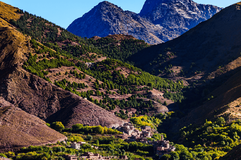 Marrakech: Ourika Valley,Waterfalls, Atlas & Guide & Lunch Marrakech: Ourika Valley,Waterfalls ,Atlas Mountains