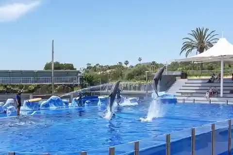 Mallorca: Marineland-Tickets mit Transfer ab dem Norden