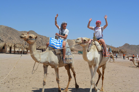 Hurghada: Quad Bike and Camel Ride with Dinner and Show pickup from hotels inside hurghada