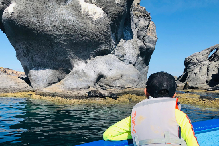 Coronado Island and Snorkel Tour