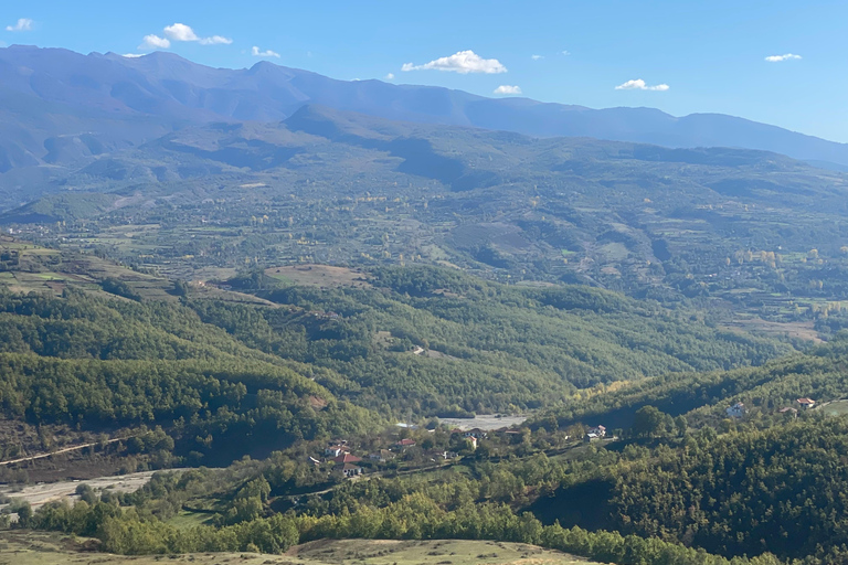 From Tirana/Durres: THINK GLOBAL, ACT AS A LOCAL