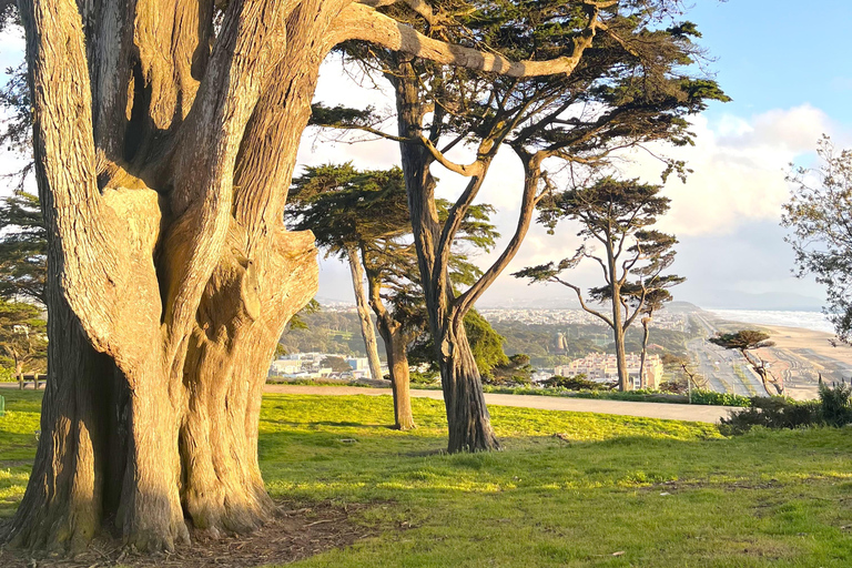 San Francisco: Wild Coast Tour