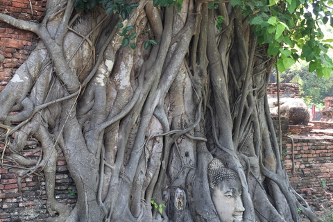 Bang Pa-In Palace, Ayutthaya Temples & Local Boat Cruise