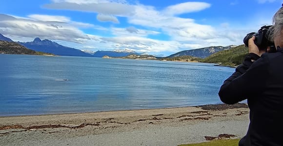 USHUAIA: VISITA GUIDATA AL PARCO NAZIONALE DELLA TERRA DEL FUOCO