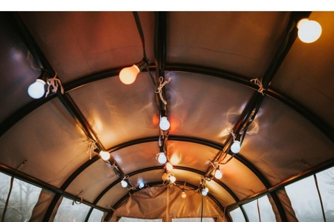 Stuttgart : balade en traîneau d&#039;hiver en charretteStuttgart : balade en charrette couverte