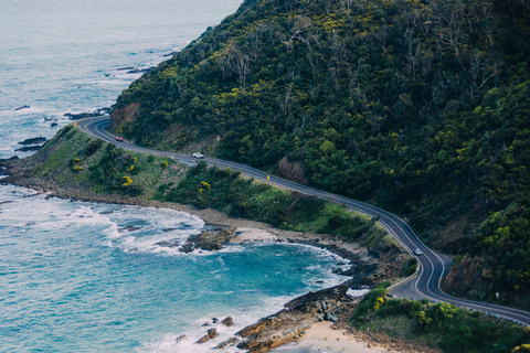 Desde Melbourne: Excursión guiada de un día a Great Ocean Road