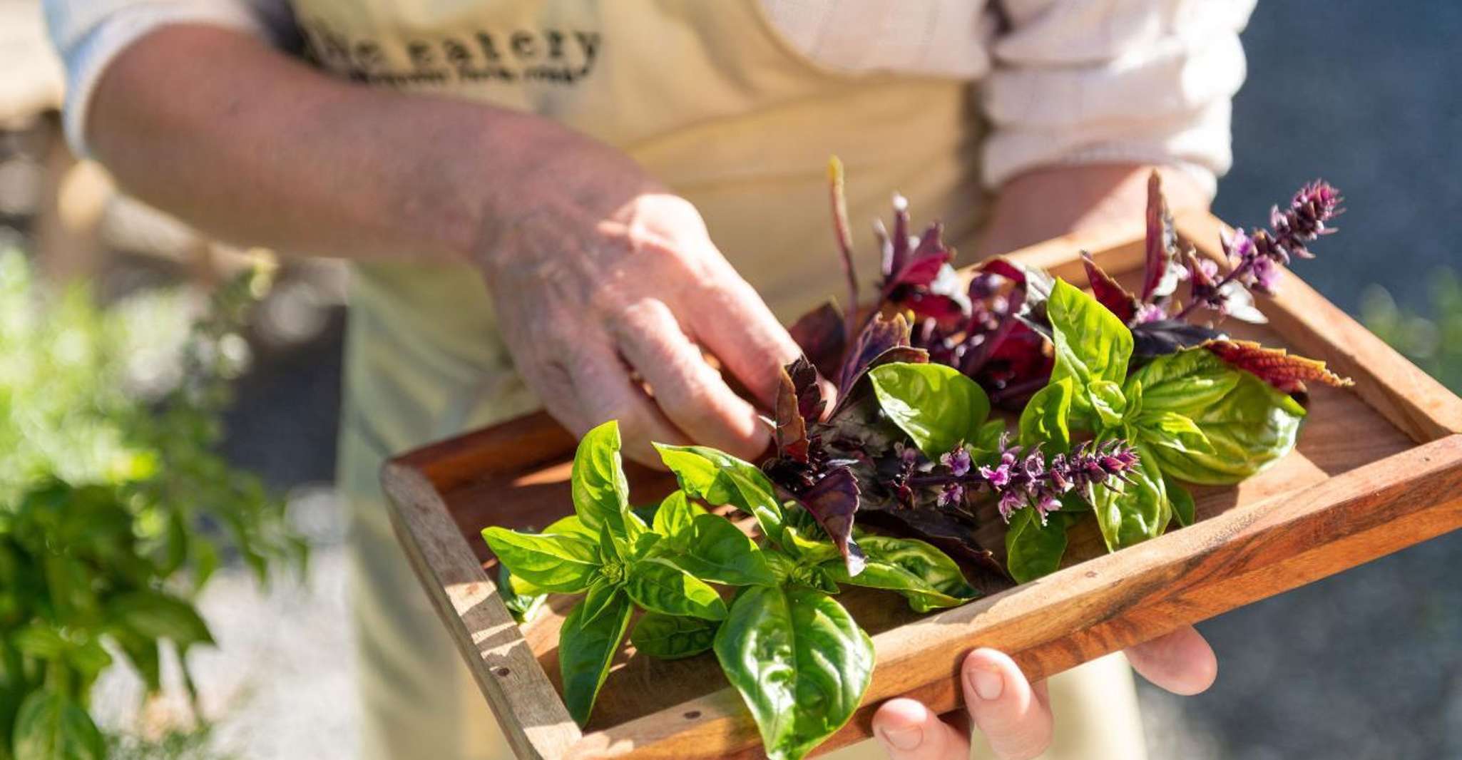 Maggie Beer's Farm Hands-on Cooking School and Lunch - Housity