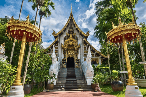 Chiang Mai: Culture of Temples and Sticky Waterfall