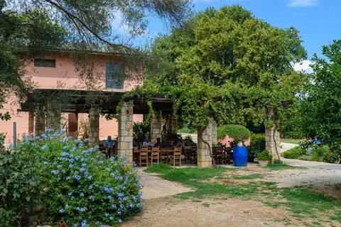 Depuis La Canée : journée autour du vin et de l'huile d'olive