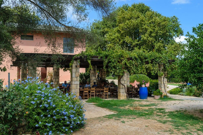 Depuis La Canée : journée autour du vin et de l'huile d'olive