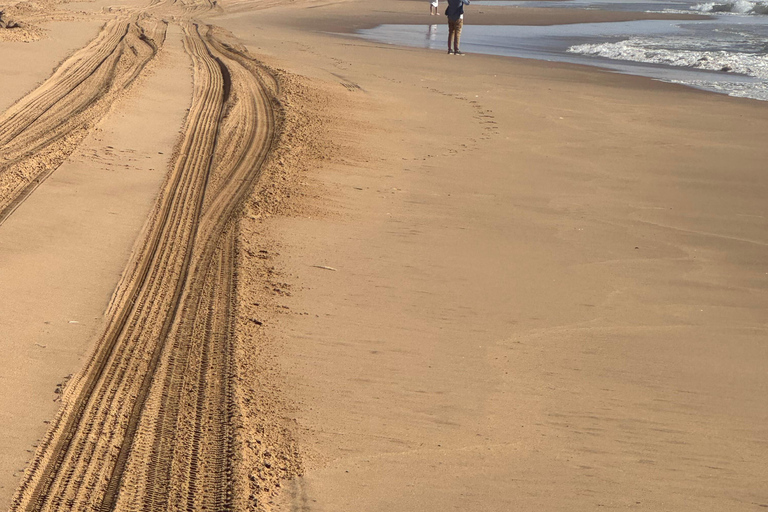 Walvisbay: Sandwich Harbour 4x4 Tour-Unparalleled Experience