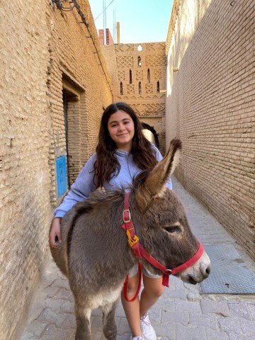Visit 3-hour walks in Tozeur accompanied by a Donkey in Tozeur, Tunisia