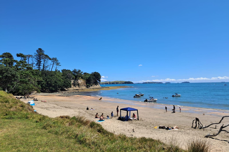 Auckland: Ticket für die Fähre zur Motuihe Island