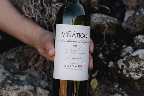 Tenerife: Guided tour with tasting of 6 wines