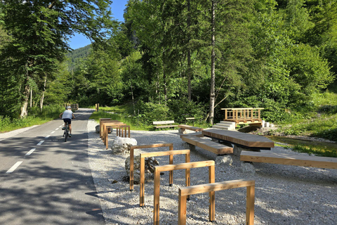 Bled: Guided E-Bike Tour to Lake Bohinj & Triglav Park