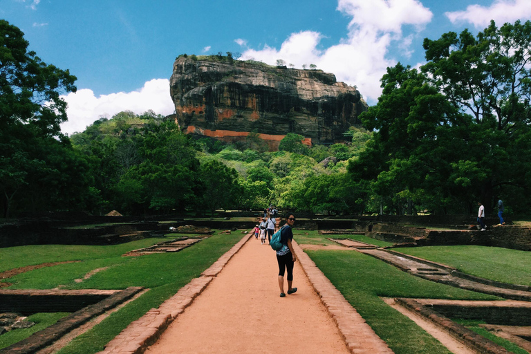 Sigiriya Dambulla Minneriya Safari Private Full Day Tour Pick up from Kandy or Matale Hotels