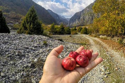 De Tirana/Shkoder: Viagem de 2 dias para caminhada no Parque Nacional Theth