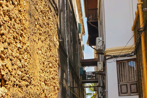 Cidade de Pedra: excursão a pé guiada