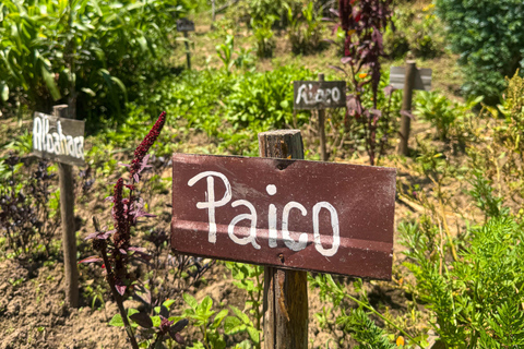 Ritmos y Sabores Andinos: Full Day en Otavalo desde Quito