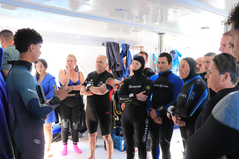 Sharm el-Sheikh: Ras Mohammed & White Island Dive & Snorkel Option 2: Certified Divers - Including Equipment