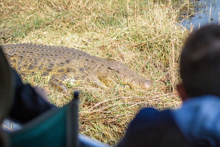 Victoria Falls: Chobe & Okavango Delta Camping Safari Tour