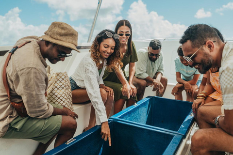 Mauritius: Île des Deux Cocos All-Inclusive Day Trip