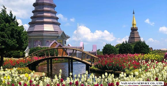 Chiang Mai: Doi Inthanon One-Day Tour with a Private Driver