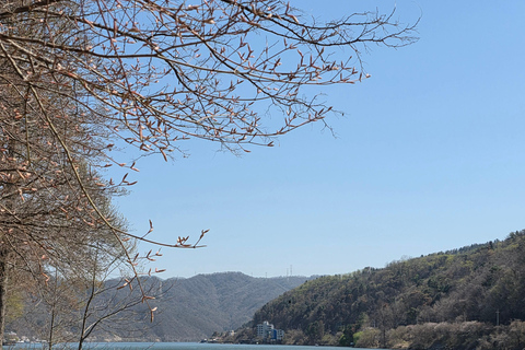 Seoul: Hallyu Nami Island Day Trip with romantic Train