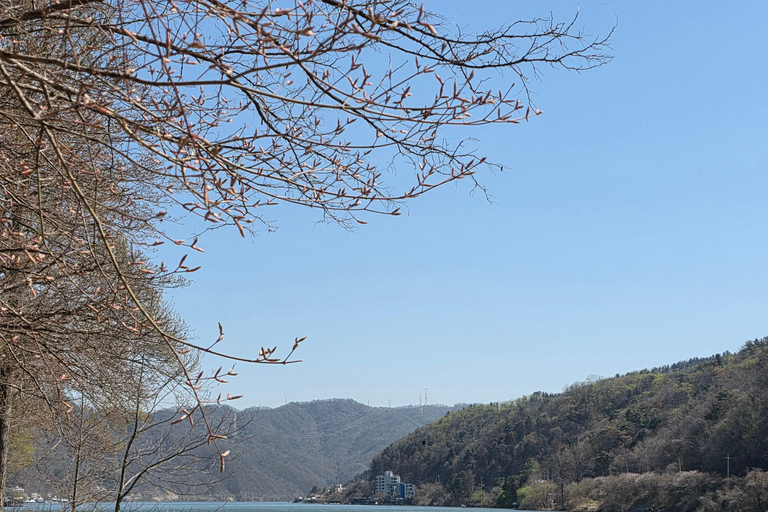 Seoul: Hallyu Nami Island Day Trip with romantic Train