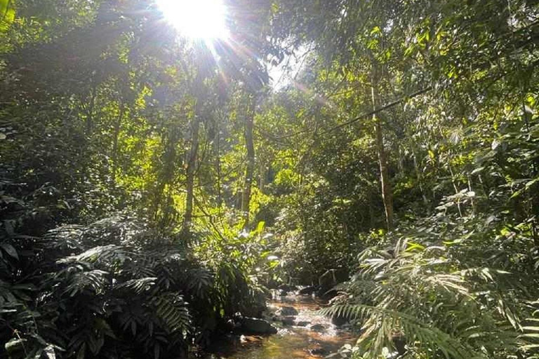 Chiang Mai: Jednodniowa wędrówka po Doi Saket – trasa nieturystycznaChiang Mai: Jednodniowa wędrówka po Doi Saket – trasa nieturystyczna.