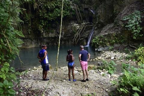 From Puerto Plata: 27 Charcos de Damajagua Full-Day Tour