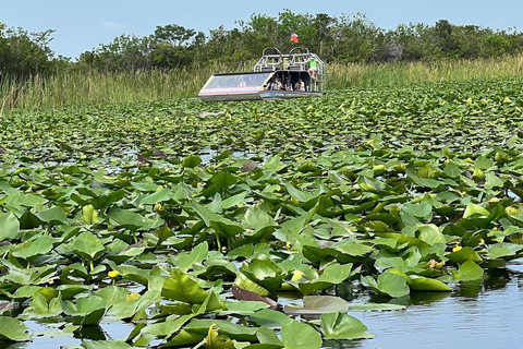 Everglades : en bateau à propulsion plate avec transport