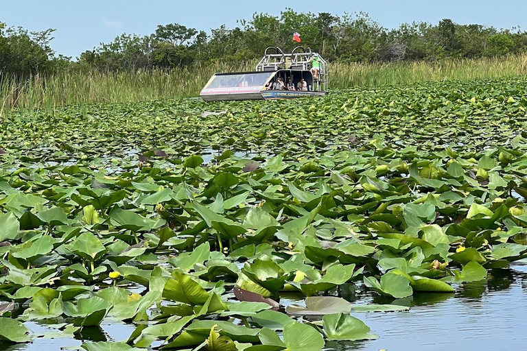 Everglades: på båt med platt framdrivning och transport